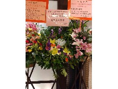 2018-05-12 四邑會所第廿四屆理監(jiān)事就職典禮暨會員聯(lián)歡大會
