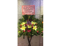 2017-10-20 香港臺山同鄉(xiāng)總會(新界分會)第一屆理事就職典禮